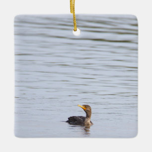 Enfeite de Cormorão de Crista Dupla