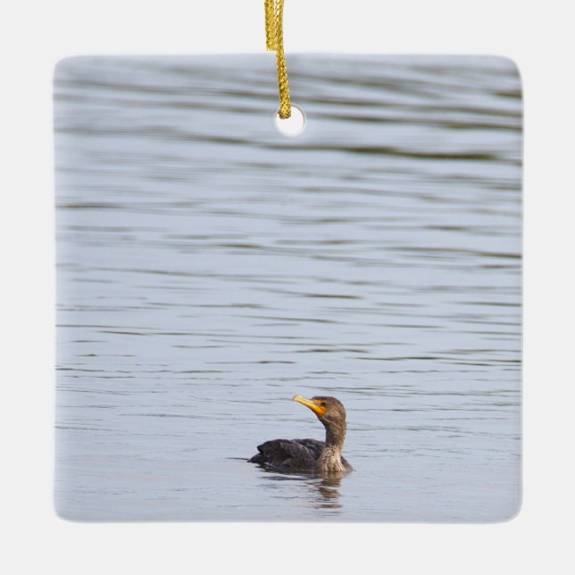 Enfeite de Cormorão de Crista Dupla  (Frente)