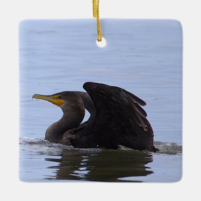 Enfeite de Cormorão de Dupla Crista  (Frente)