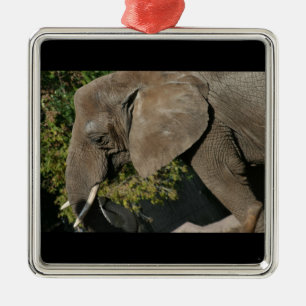 Enfeite de Elefante