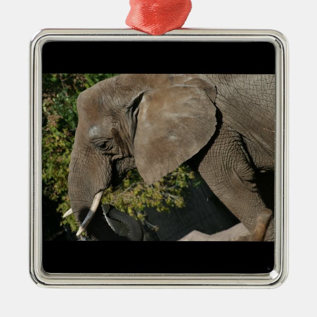 Enfeite de Elefante (Frente)