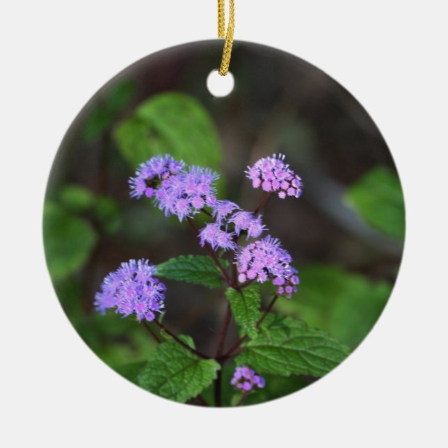 Enfeite de Flores Silvestres Roxas (Frente)