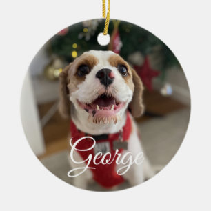Enfeite de Foto de Animal de Estimação Personaliza