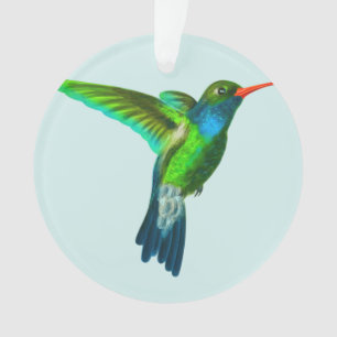 Enfeite de Foto de Beija-flor Fofo Personalizado