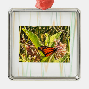 Enfeite de Foto de Borboleta