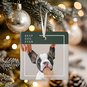 Enfeite de Foto de Cachorro Melhor Cachorro do M