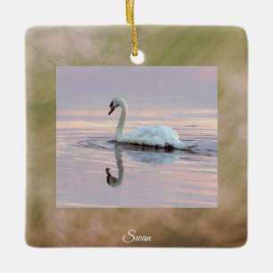 Enfeite de Foto de Cisne
