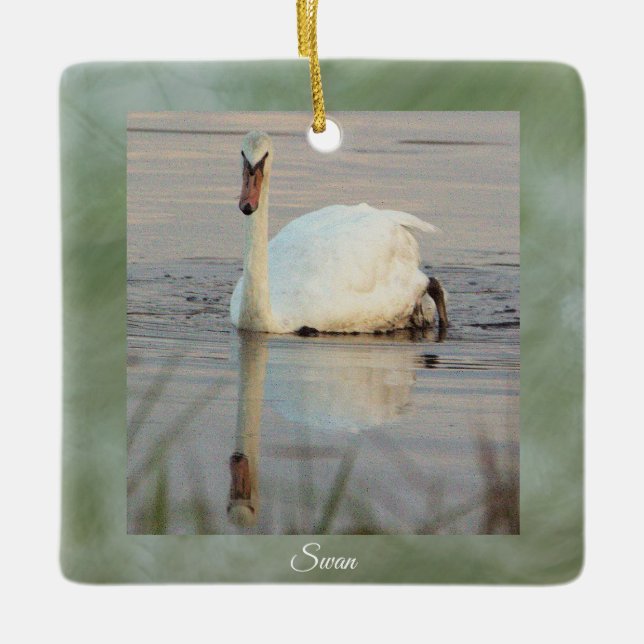 Enfeite de Foto de Cisne  (Frente)