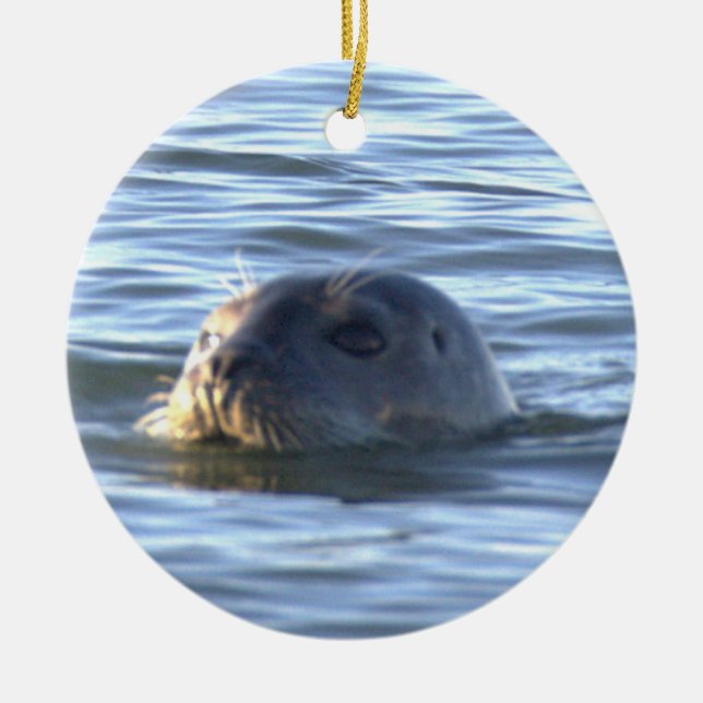 Enfeite de Foto de Foca  (Frente)