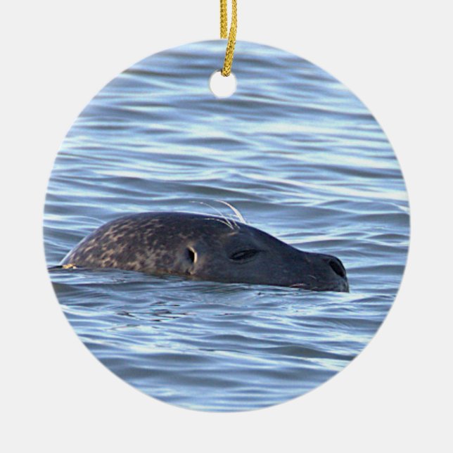 Enfeite de Foto de Foca  (Frente)