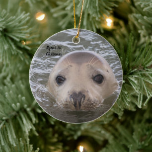 Enfeite de Foto de Foca Cinza Adorável Personaliza