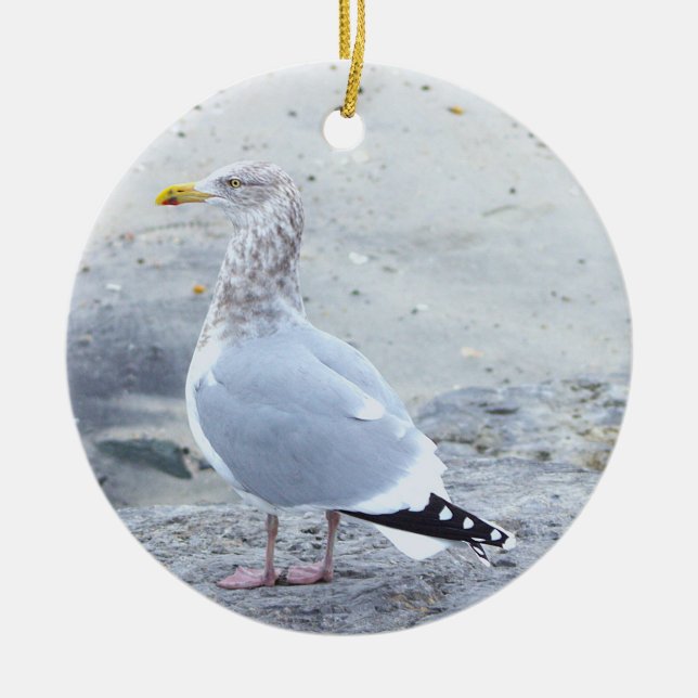 Enfeite de Foto de Gaivota (Frente)
