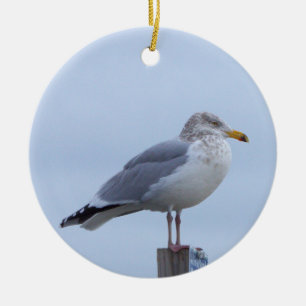 Enfeite de Foto de Gaivota