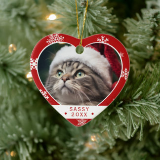 Enfeite de Foto de Gato com Floco de Neve Vermelho