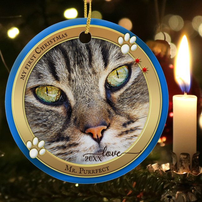 Enfeite de Foto de Gato Fofo Blue Gold (Criador carregado)