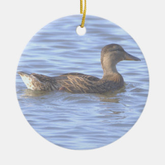 Enfeite de Foto de Pato