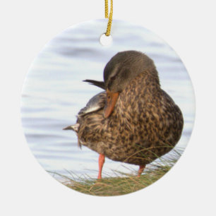Enfeite de Foto de Pato