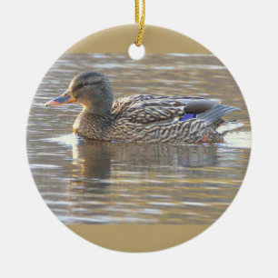 Enfeite de Foto de Pato-real