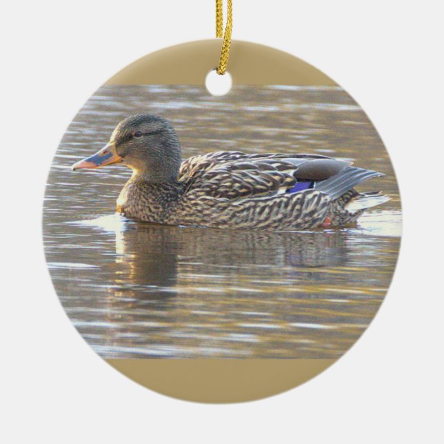 Enfeite de Foto de Pato-real  (Frente)