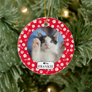 Enfeite de Foto Personalizado de Gato com Espinha