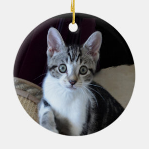 Enfeite de gatinho tabby cinza/branco