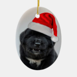 Enfeite de Natal Bark Humbug