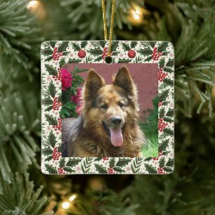 Enfeite de Natal com Foto de Animal de Estimação H