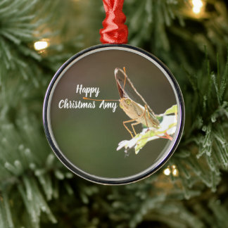Enfeite de Natal com Foto de Borboleta Personaliza