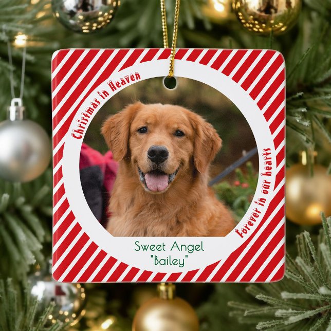 Enfeite de Natal com Foto de Cachorro Lembrança de (Criador carregado)