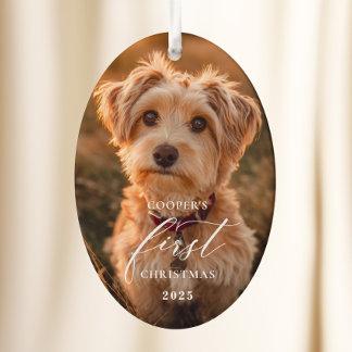 Enfeite de Natal com Letra de Cachorro Primeiro Na
