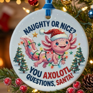 Enfeite de Natal de Axolote - Você tem Perguntas d