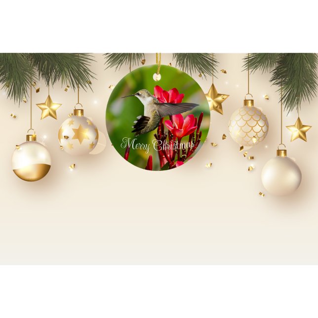 Enfeite de Natal de Beija-flor (Criador carregado)