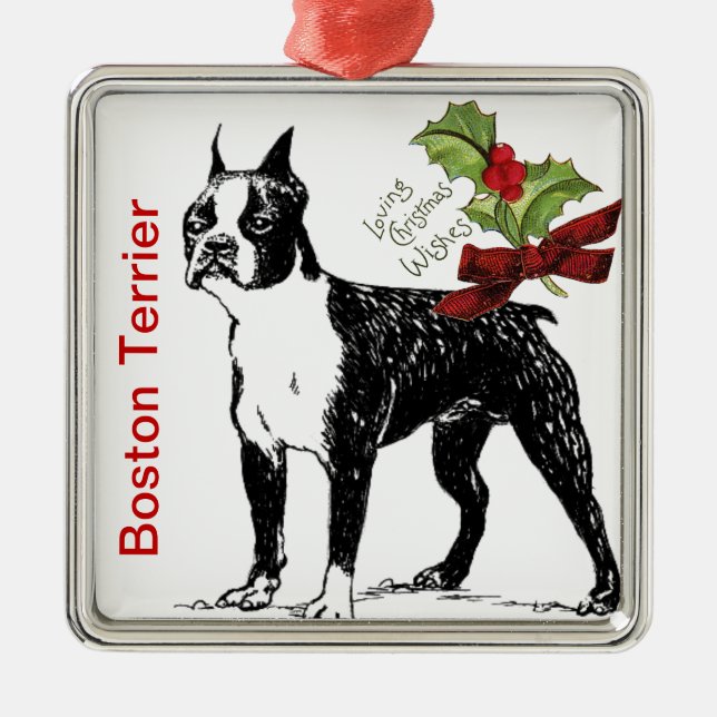 Enfeite de Natal de Boston Terrier (Frente)