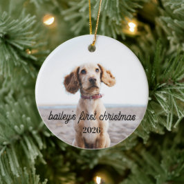 Enfeite de Natal de Cachorro Primeiro Natal do Bai