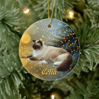 Enfeite de Natal de Cerâmica Personalizado para Pe
