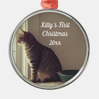 Enfeite de Natal de Gato Tabby em Janela