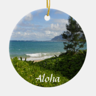 Enfeite de Natal de Praia Havaiana