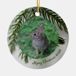 Enfeite de Natal de Sempre-Verde com 2 Fotos Frent