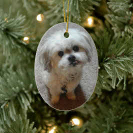 Enfeite de Natal Oval Bear the Malshi