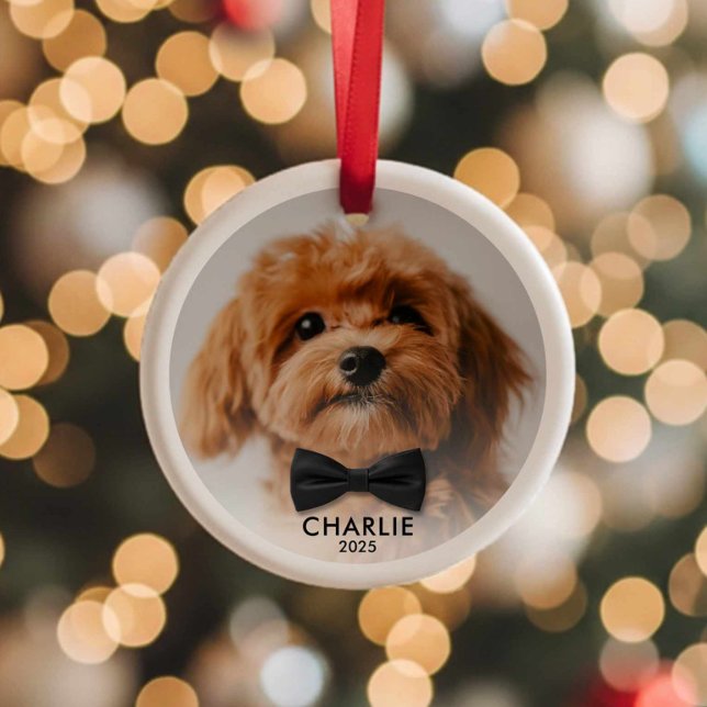 Enfeite de Natal Personalizado com Foto de Animal  (Modern Minimalist Pet Photo Christmas Ornament)