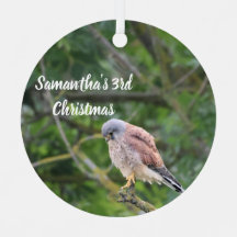 Enfeite de Natal Personalizado com Foto de Falcãoz