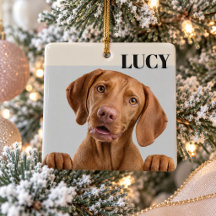 Enfeite de Natal Personalizado com Foto do Cachorr