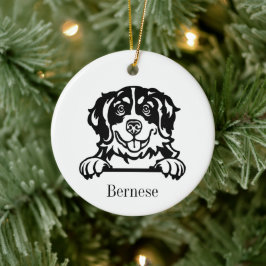 Enfeite de Natal Personalizado para Animais de Est