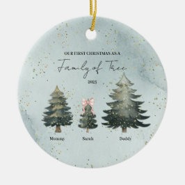 Enfeite de Natal Personalizado para Família de Trê