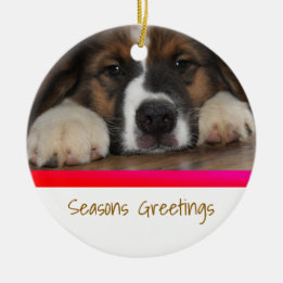 Enfeite de Natal Personalizado para Pet