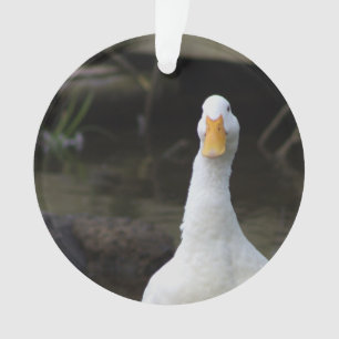 Enfeite de Pato Branco