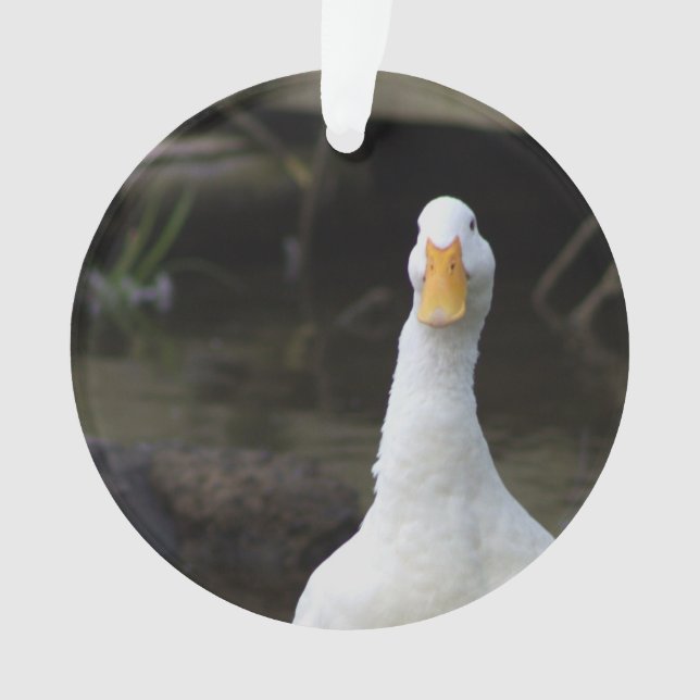 Enfeite de Pato Branco (Frente)