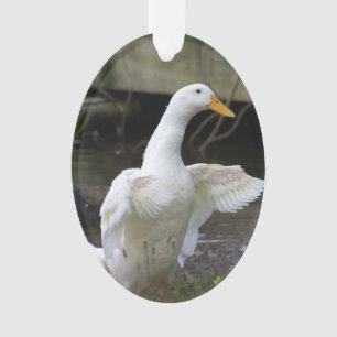 Enfeite de Pato Branco