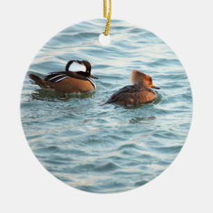 Enfeite de Patos Merganso-de-capuz