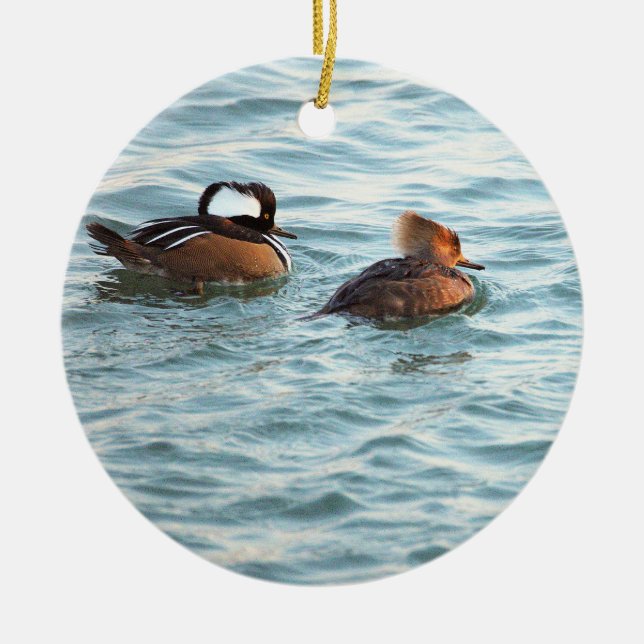 Enfeite de Patos Merganso-de-capuz (Frente)